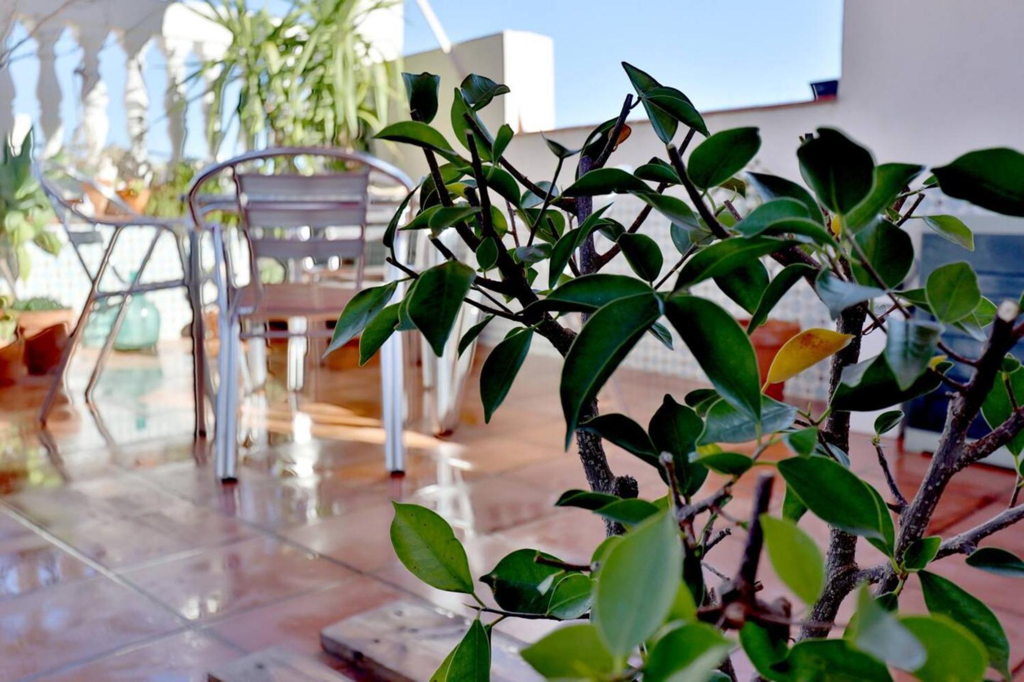 Atico Con Terraza En Pleno Centro Daire Cordoba Dış mekan fotoğraf